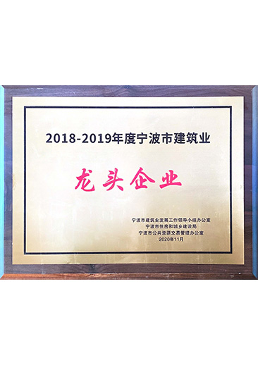 2018-2019龙头企业